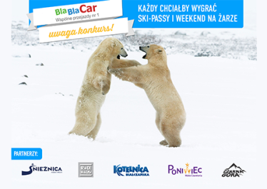 Konkurs fotograficzny "Zimowy"