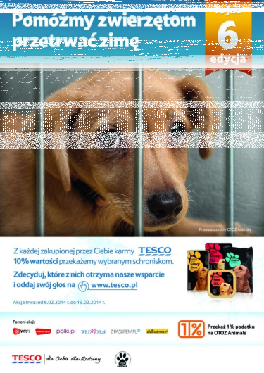 "Pomóżmy zwierzętom przetrwać zimę" - wygraj i przekaż 1 tys zł wybranemu schronisku dla zwierząt