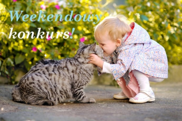 Weekendowy KONKURS - Opisz i sfotografuj swój weekend z dzieckiem i wygraj zaproszenie na warsztat