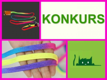 Wygraj super-kolorowa smycz z obróżką