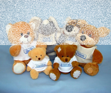 Konkurs "Sobota z Dentusiem" do godz. 10:00