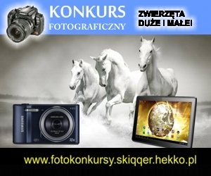 Konkurs "Zwierzęta duże i małe"