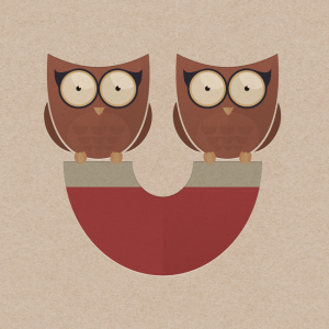 Konkurs fotograficzny "MagneSowy4fun"