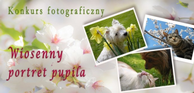 Konkurs fotograficzny "Wiosenny Portret Pupila"