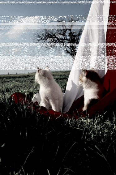 Konkurs "Biało-czerwona inspiruje"