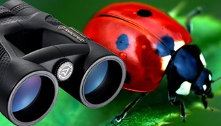 Konkurs "Wiosenne makro"