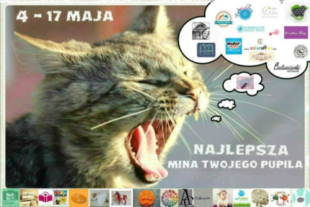 Konkurs fotograficzny "Mina pupila"