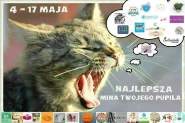 Konkurs fotograficzny "Mina pupila"