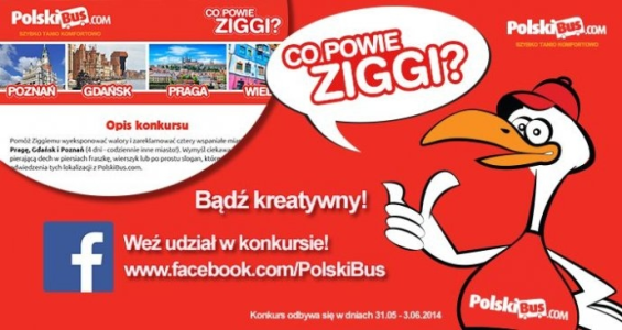 Co powie Ziggi? – wyjątkowy konkurs PolskiBus.com