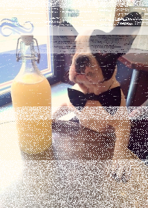 Konkurs "Ulubieniec Pijalni Wódki i Piwa Łódź"