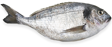 Konkurs fotograficzny "Zasmakuj ryb świata, wygraj wakacje!" Biedronka