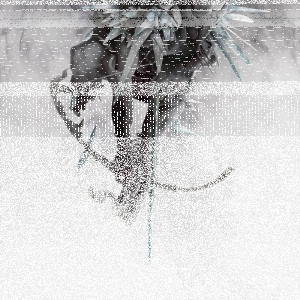 Wygraj nowy album Linkin Park – The Hunting Party