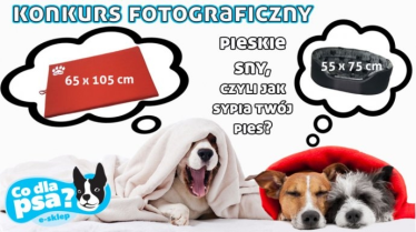 Konkurs "Pieskie sny, czyli pokaż jak sypia twój pies"