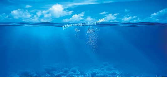 Konkurs fotograficzny "Zasmakuj ryb świata" Biedronka