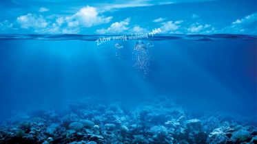 Konkurs fotograficzny "Zasmakuj ryb świata" Biedronka