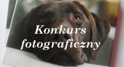 Konkurs fotograficzny "Pokaż swojego psa"