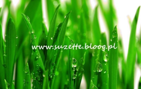 Zgarnij próbki od suzette.bloog.pl