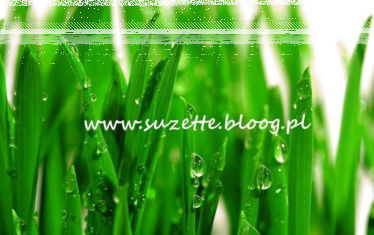 Zgarnij próbki od suzette.bloog.pl