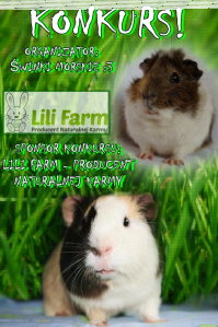 Konkurs fotograficzny: zwierzakowy