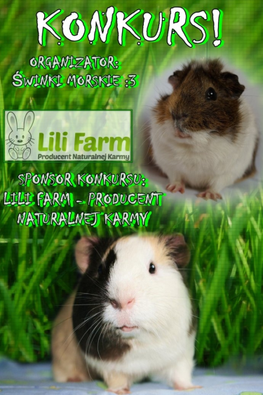 Konkurs fotograficzny: zwierzakowy