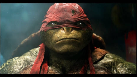 Konkurs "Wojownicze Żółwie Ninja"