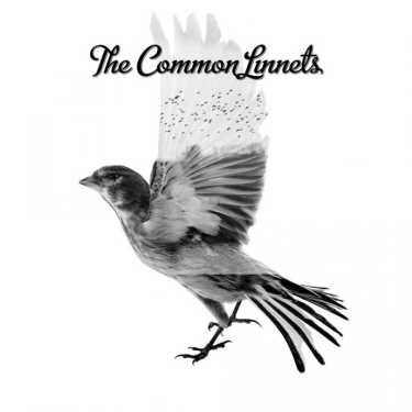 Wygraj album sensacji Eurowizji - The Common Linnets