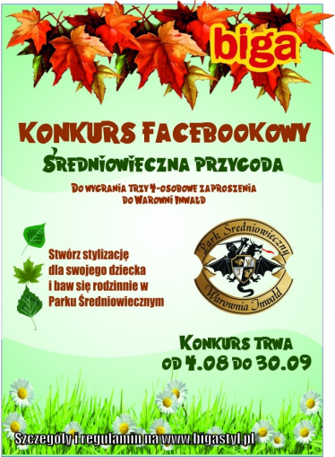 Konkurs "Średniowieczna przygoda"