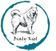 Konkurs "Aktywne wakacje"