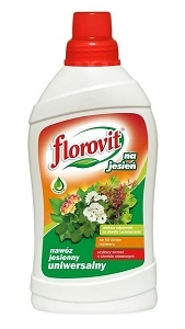 Konkurs "Jesień w ogrodzie i na balkonie"