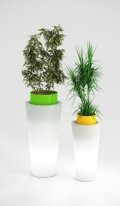 Konkurs "Nowoczesne donice"