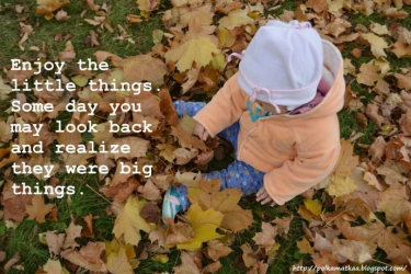 Konkurs "Jesienny spacer w obiektywie"