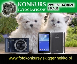 Konkurs "Zwierzęta duże i małe"