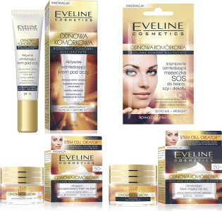 Konkurs "Aktywna Jesień"