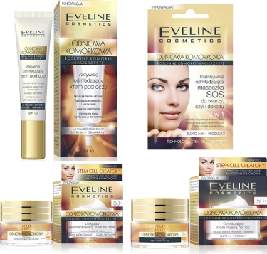 Konkurs "Aktywna Jesień"