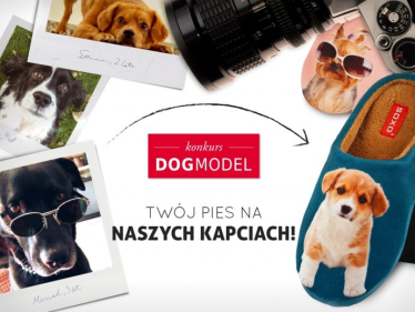 Konkurs fotograficzny "Dog Model - Twój Pies będzie naszym modelem"