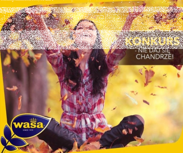 Konkurs "Sposób na chandrę"