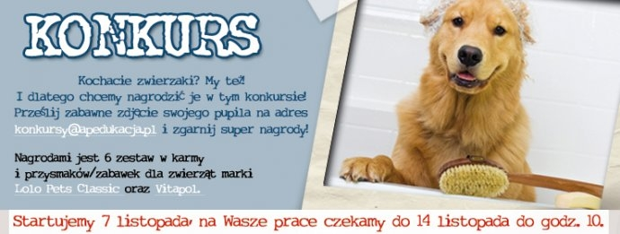 Konkurs "Najzabawniejsze zwierzęta świata"