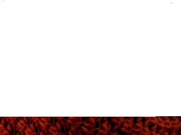 Wygraj bon na zakupy do sklepu H&M o wartości 250zł