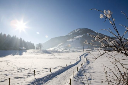 Konkurs narciarski "Tyrol z Newswekiem AD 2014"