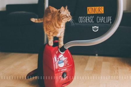 Odkurzacz dla właścicieli zwierząt "Odsierść chałupę"