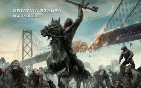 Wygraj DVD "Ewolucja planety małp"