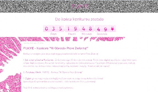 Konkurs filmowy "W Obronie Praw Zwierząt"