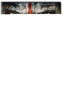 Zobacz jak rozpoczęła się "Ewolucja planety małp"