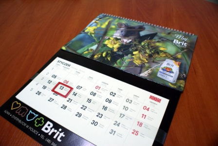 Konkurs fotograficzny "Mój zwierzak w obiektywie"