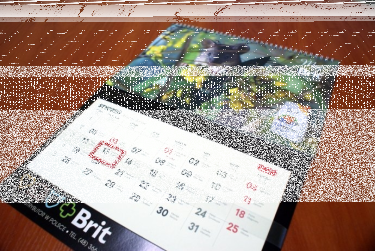 Konkurs fotograficzny "Mój zwierzak w obiektywie"