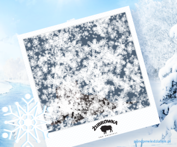 Konkurs "FOTOzagadka" >18lat