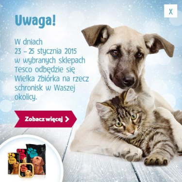 Konkurs "FOTA DLA PSA KOTA"