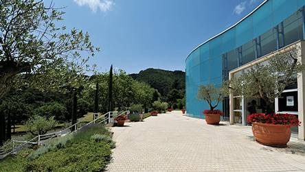 Konkurs "Atopowe S.O.S."