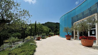 Konkurs "Atopowe S.O.S."