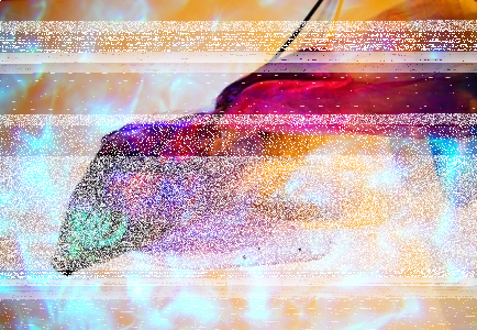 Wygraj bilety na "Baśń o złotej rybce" Wrocław do godz. 10:00